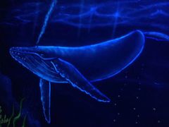 -福州罗源湾海洋世界旅游区