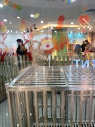 -Moni星球萌宠·小马宝莉·灵蛇·高端高阶全萌宠互动体验俱乐部(红豆国际广场店)