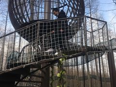 -黄海国家森林公园