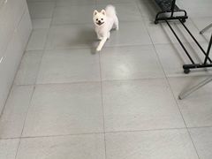 -暖阳宠物医院·犬猫康复中心·骨科