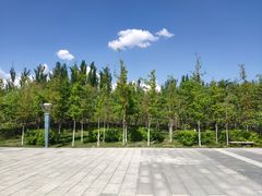 -伊犁河风景区