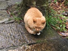 -龚师傅土菜馆.地道农家菜(魅力湘西店)