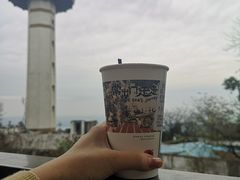 -茶颜悦色(岳麓山顶店)