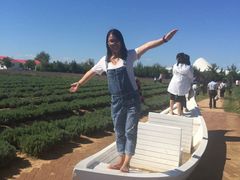 -渔岛海洋度假区