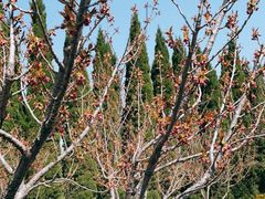 -青州市云门山风景区