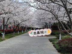 -高东镇樱花园