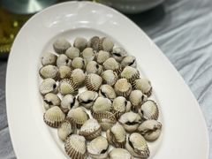 焯水血蛤-温岭人家(红花北路店)