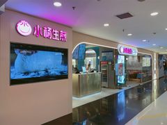 -小杨生煎(湟普汇店)