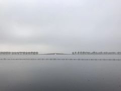 -西湖游船