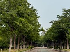 -天平湖公园