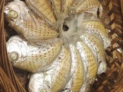 -吴记富苑(朝阳店)