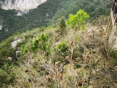 -重庆云阳龙缸景区