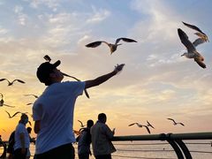 -东港音乐喷泉广场