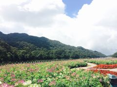 -广州市石门国家森林公园
