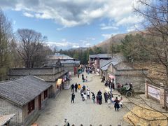 -横道河子东北虎林园