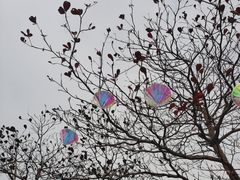 -珠海海泉湾神秘岛亲子乐园