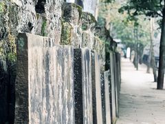 -碧峰峡风景区