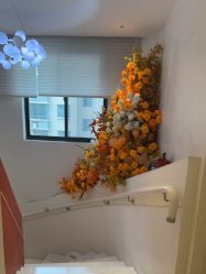 -WENDY·温迪皮肤管理