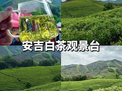 -老李家土菜馆·安吉地标美食