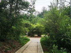 -青龙山国家森林公园