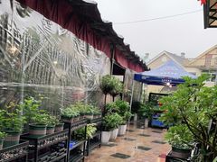-先机泉水鸡汤(南山老君洞店)