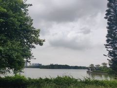 -海珠湖公园