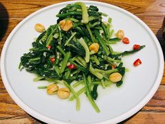 凉拌板蓝根-云上千禾(水上店)
