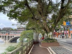 -老字号怡玺·藿香雅鱼(20年雅安店)