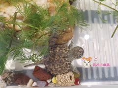 -星轶影院(南京茂业天地店)