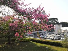 -CHILLAX轻乐时(侨建·Hi City店)