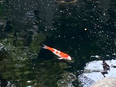 -杭州上天竺法喜讲寺