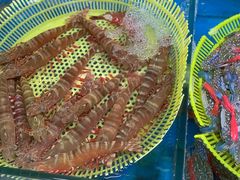 -板桥海鲜广场(文明东店)