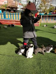 -萌宠亲子动物乐园(槐房万达店)