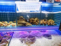 水产区-东厨虾煌(电子街店)