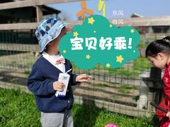 -田园东方蜜桃村的田野营地