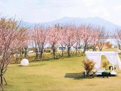 -福建鲤鱼洲酒店