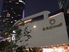 -演武大桥观景平台