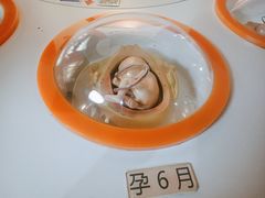 -扬州科技馆