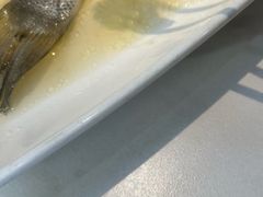 -舟山海鲜·江浙菜(银沙路店)