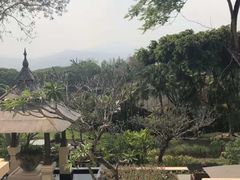 -四季酒店下午茶