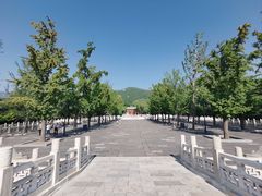 -晋祠公园