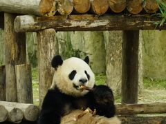 -上海野生动物园