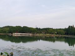 -新洲生态园