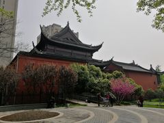 -上海白云观