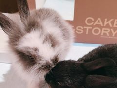 -大象厨房(重庆道店)