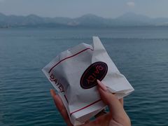 -深圳湾公园(南山区)