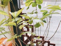 -丽泽山庄·生态怀柔菜·虹鳟鱼(红螺寺店)