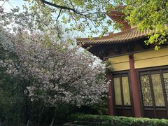 -方山风景区定林寺