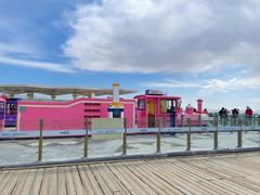 -青海茶卡盐湖文化旅游发展股份有限公司