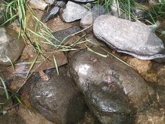 -碓臼峪自然风景区